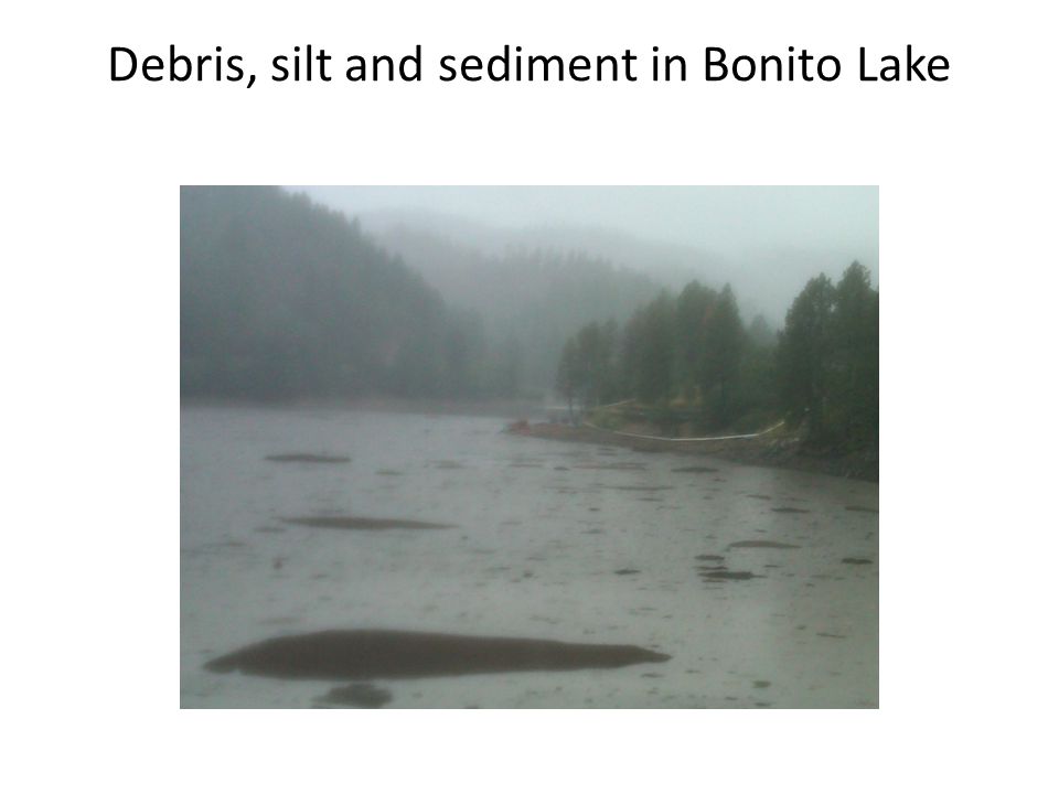 Debris, silt and sediment in Bonito Lake
