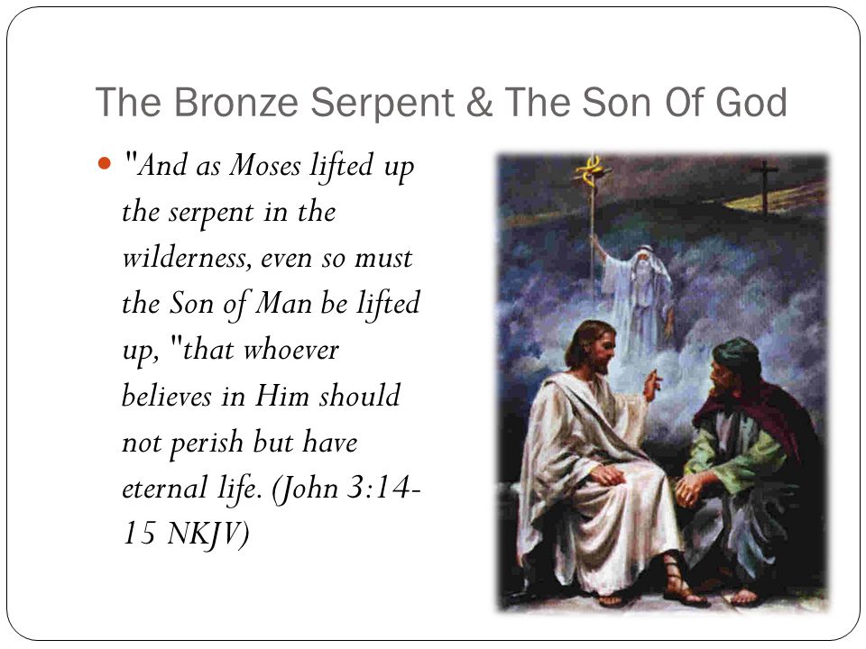 The Bronze Serpent & The Son Of God And as Moses lifted up the serpent in the wilderness, even so must the Son of Man be lifted up, that whoever believes in Him should not perish but have eternal life.