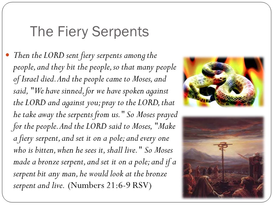 The Fiery Serpents Then the LORD sent fiery serpents among the people, and they bit the people, so that many people of Israel died.