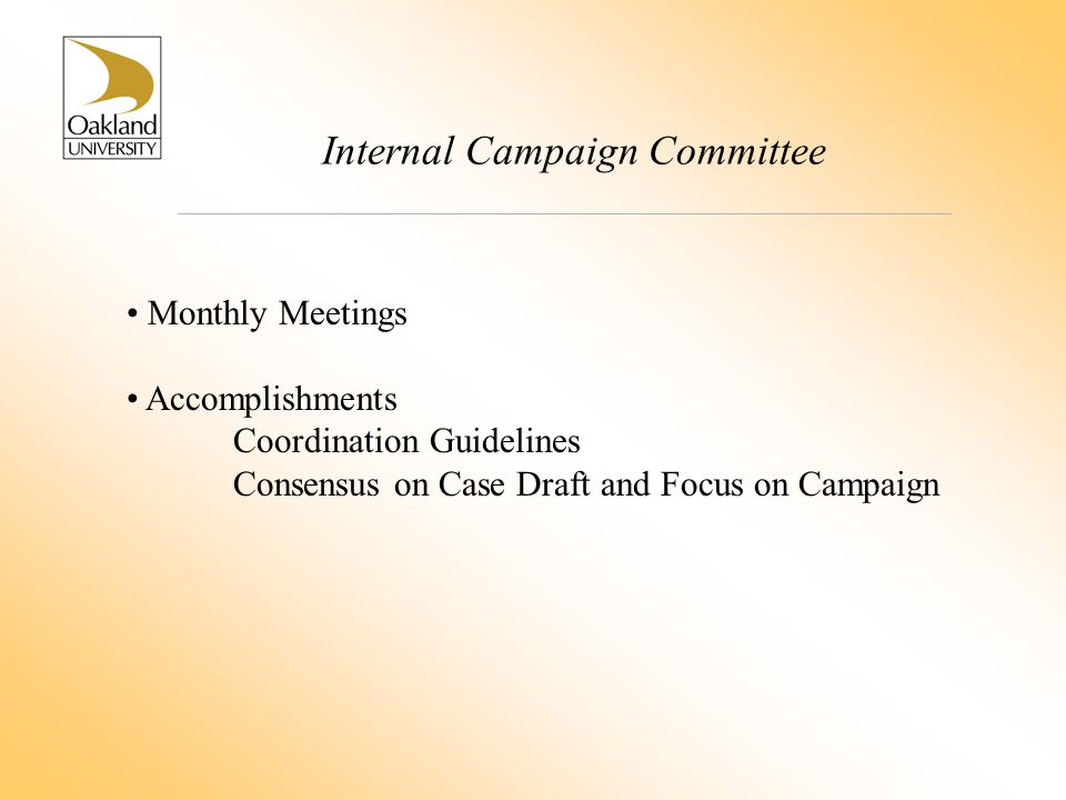 Internal Campaign Committee Monthly Meetings Accomplishments Coordination Guidelines Consensus on Case Draft and Focus on Campaign