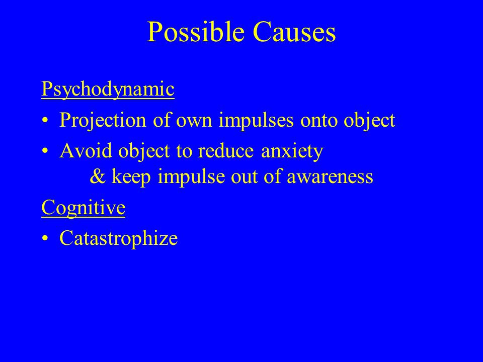 Possible Causes Psychodynamic Projection of own impulses onto object Avoid object to reduce anxiety & keep impulse out of awareness Cognitive Catastrophize