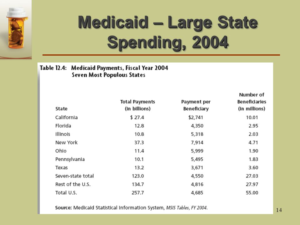14 Medicaid – Large State Spending, 2004