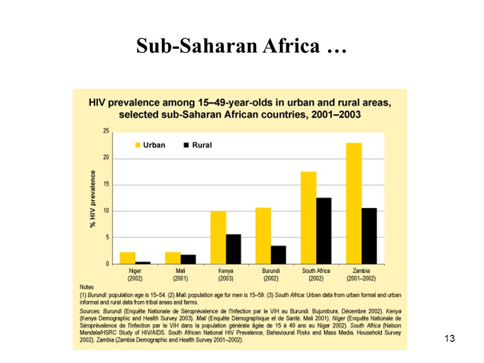 13 Sub-Saharan Africa …