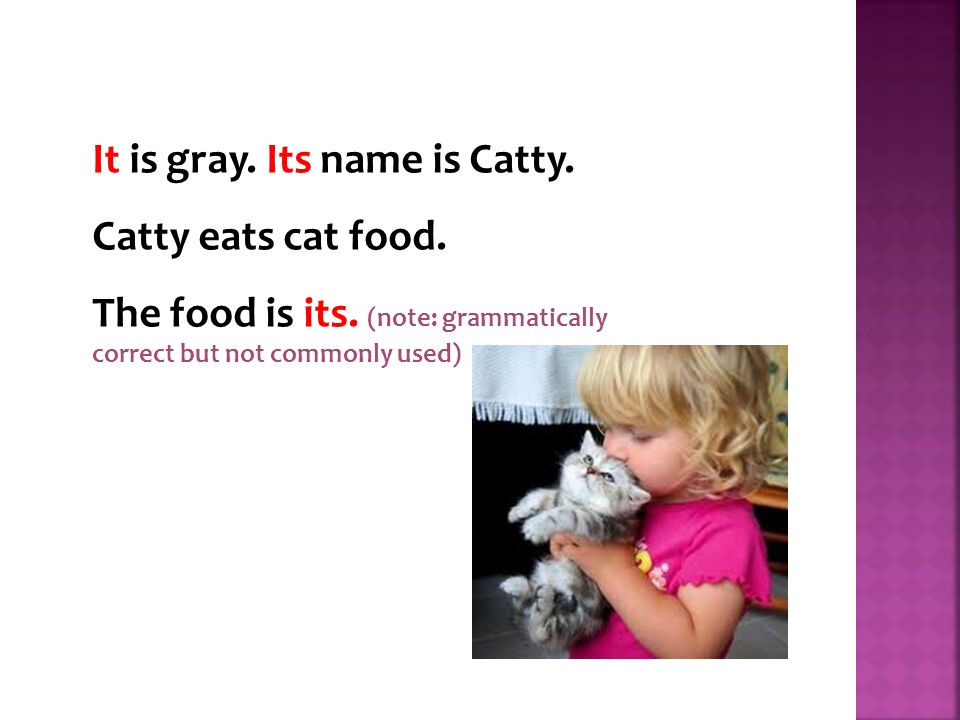 It is gray. Its name is Catty. Catty eats cat food.