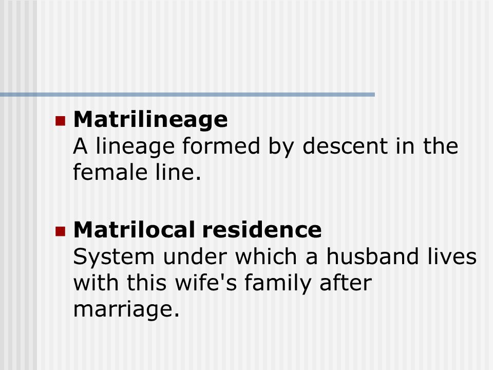 Matrilineage A lineage formed by descent in the female line.