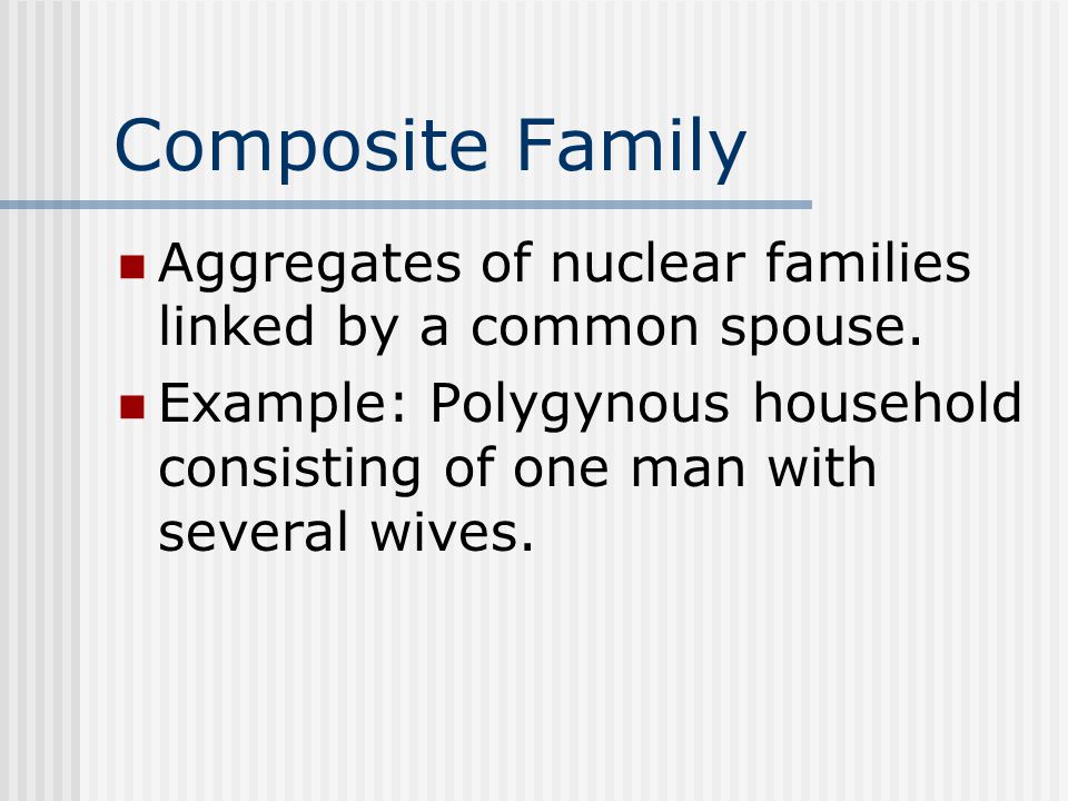 Composite Family Aggregates of nuclear families linked by a common spouse.
