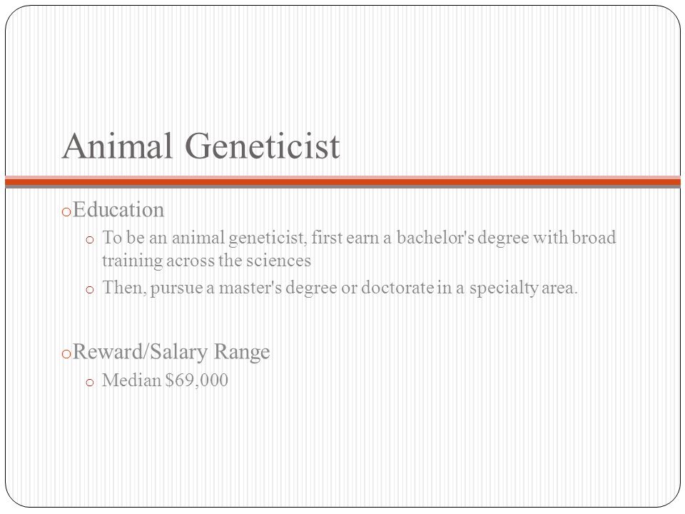 Animal Geneticist o Education o To be an animal geneticist, first earn a bachelor s degree with broad training across the sciences o Then, pursue a master s degree or doctorate in a specialty area.