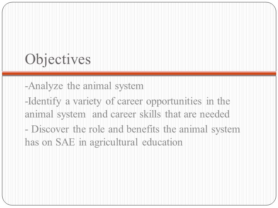 Objectives -Analyze the animal system -Identify a variety of career opportunities in the animal system and career skills that are needed - Discover the role and benefits the animal system has on SAE in agricultural education