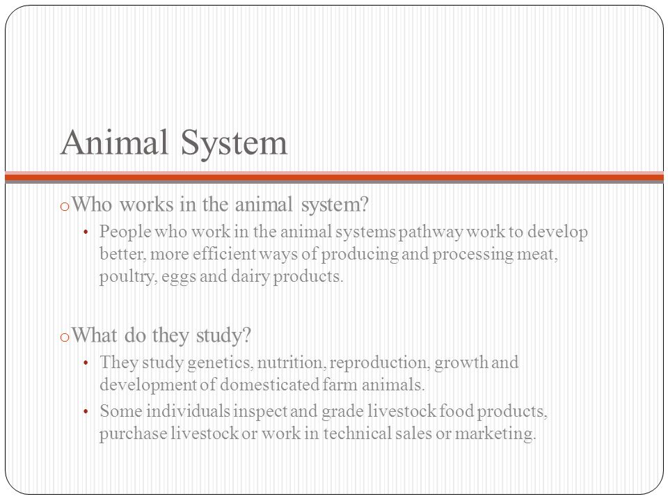 Animal System o Who works in the animal system.