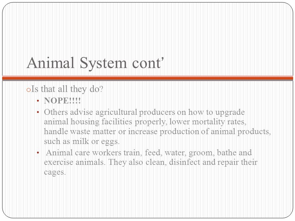 Animal System cont ’ o Is that all they do . NOPE!!!.