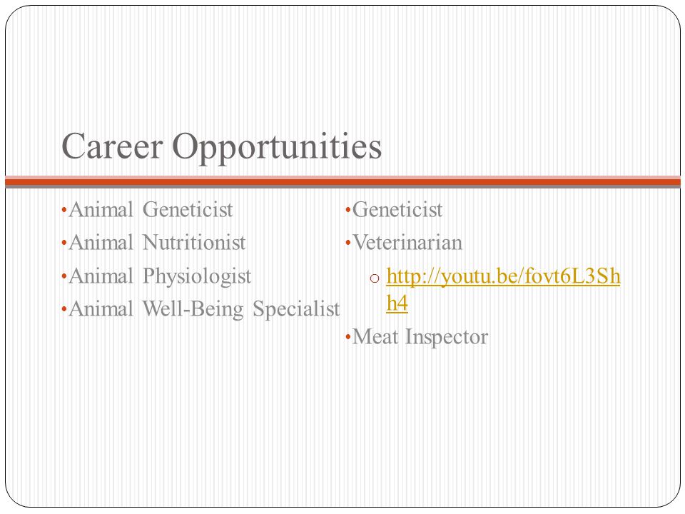Career Opportunities Animal Geneticist Animal Nutritionist Animal Physiologist Animal Well-Being Specialist Geneticist Veterinarian o   h4   h4 Meat Inspector