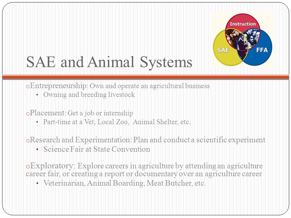 SAE and Animal Systems o Entrepreneurship : Own and operate an agricultural business Owning and breeding livestock o Placement : Get a job or internship Part-time at a Vet, Local Zoo, Animal Shelter, etc.