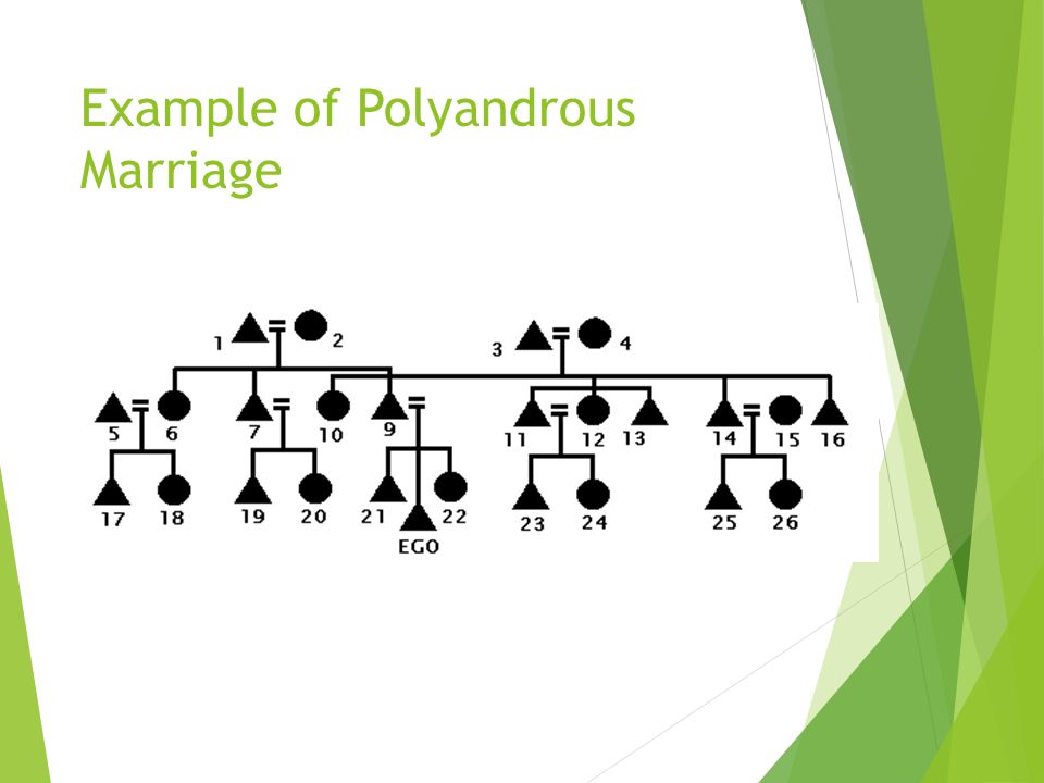 Example of Polygynous Marriage This is Sororal Polygyny
