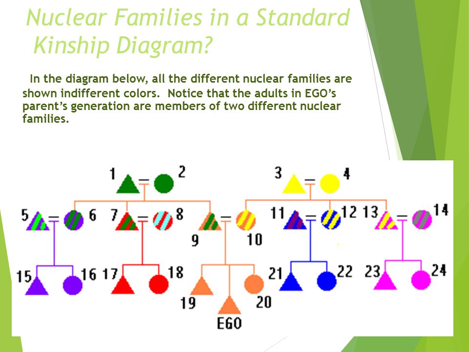 Household Form  Nuclear Family = a monogamously married couple and their offspring living together in a household.