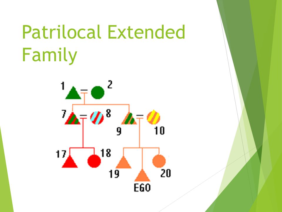 Nuclear Families in a Standard Kinship Diagram.