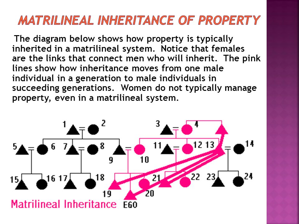 The diagram below show all relatives in EGO’s matrilineage in pink.