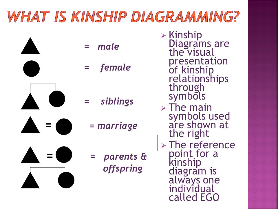 DEFINITION The rules and standards for organizing into families We use kinship diagrams to visually understand kinship groups