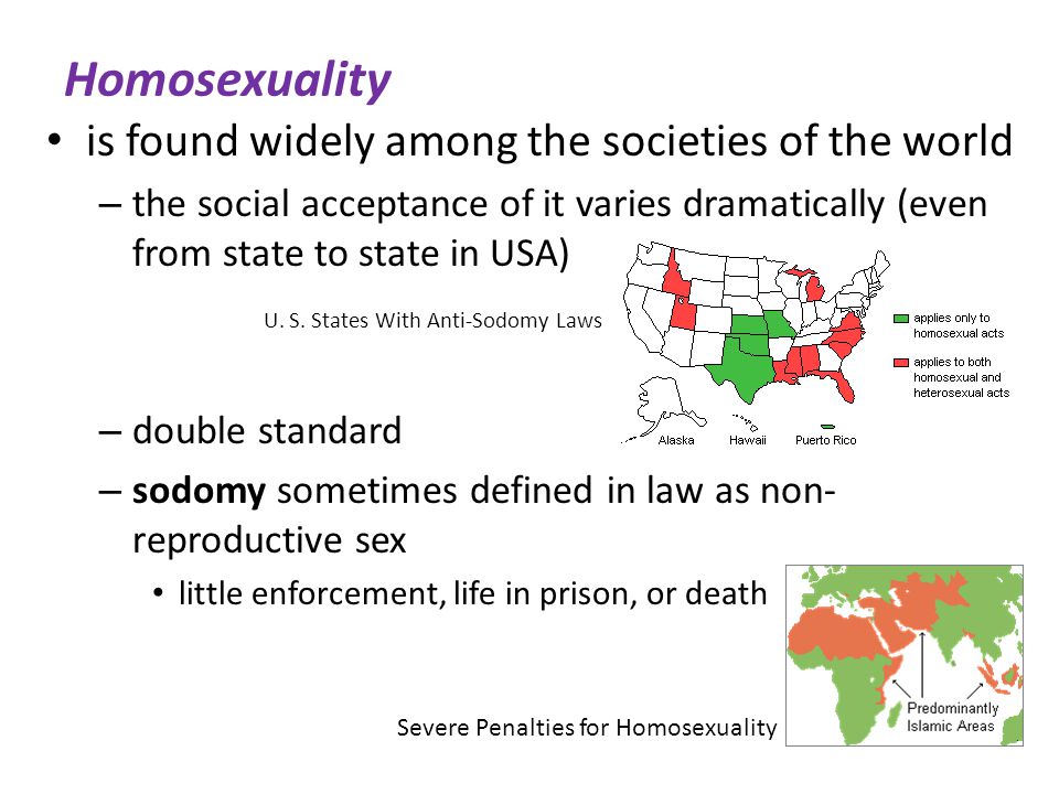 Homosexuality is found widely among the societies of the world – the social acceptance of it varies dramatically (even from state to state in USA) – double standard – sodomy sometimes defined in law as non- reproductive sex little enforcement, life in prison, or death Severe Penalties for Homosexuality U.
