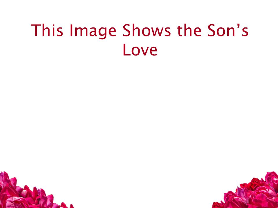 This Image Shows the Son’s Love