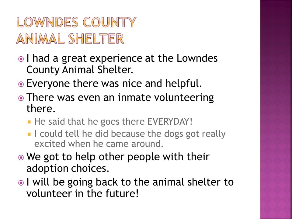  I had a great experience at the Lowndes County Animal Shelter.
