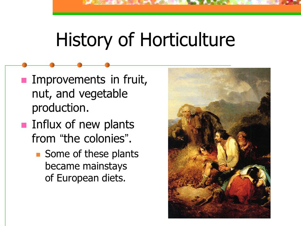History of Horticulture Improvements in fruit, nut, and vegetable production.