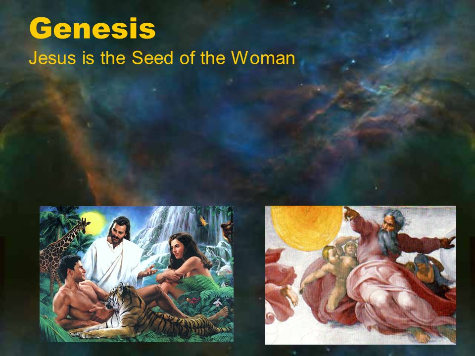 Genesis Jesus is the Seed of the Woman