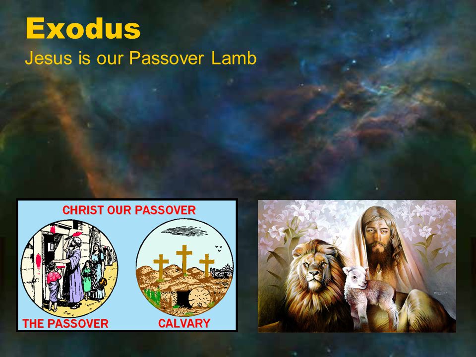 Exodus Jesus is our Passover Lamb