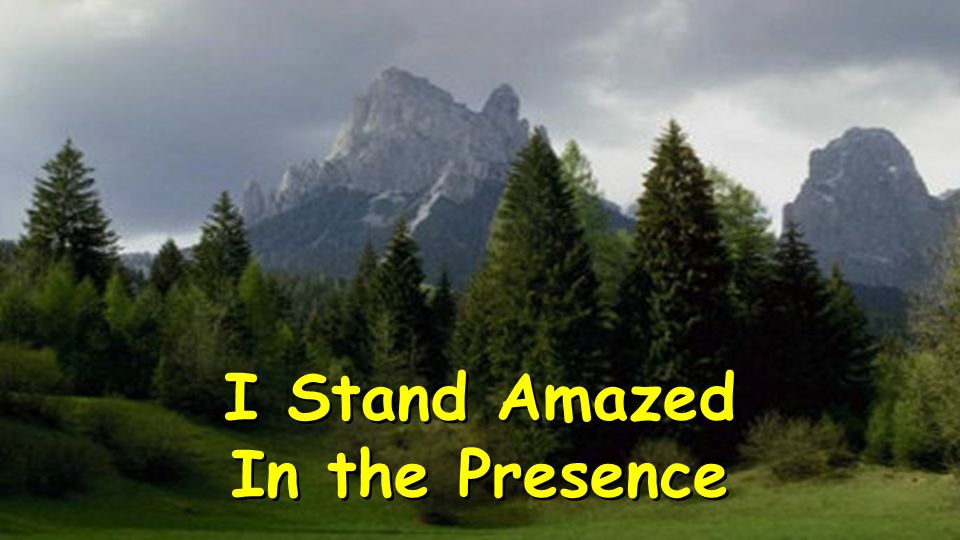 I Stand Amazed In the Presence