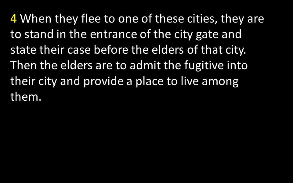 4 When they flee to one of these cities, they are to stand in the entrance of the city gate and state their case before the elders of that city.