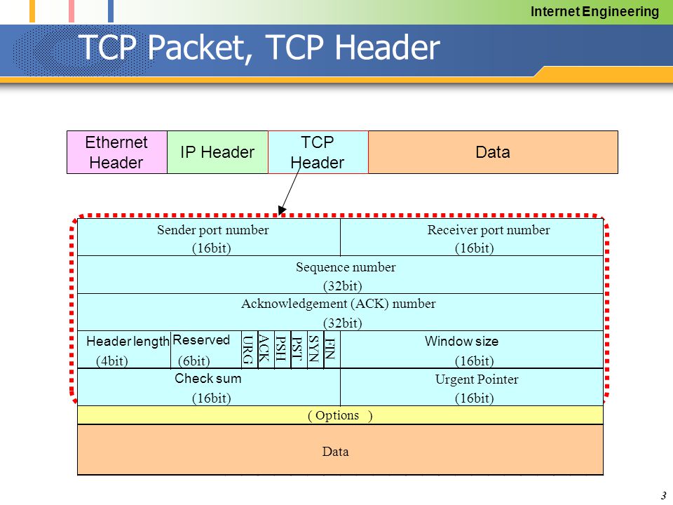 Какой максимальный размер пакета. Пакет TCP IP структура. Заголовок протокола TCP. Структура TCP пакета. Структура пакета Ethernet TCP/IP.