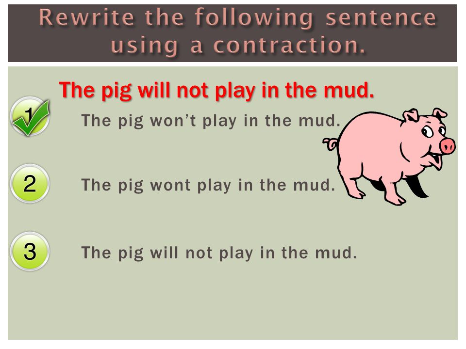 The pig won’t play in the mud. The pig wont play in the mud. The pig will not play in the mud.