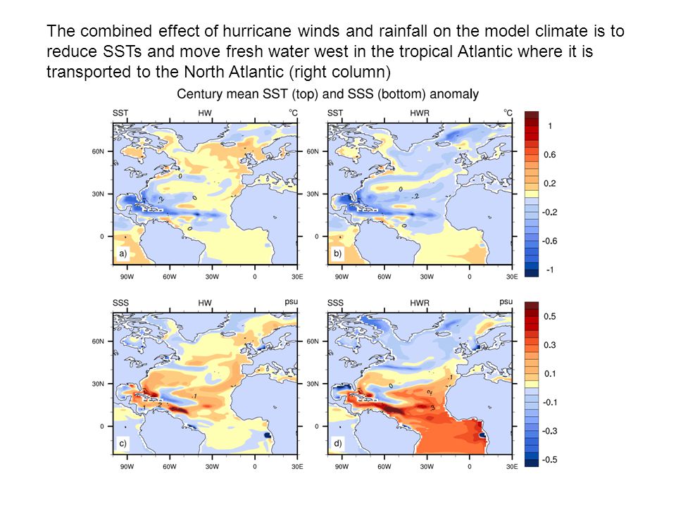 The combined effect of hurricane winds and rainfall on the model climate is to reduce SSTs and move fresh water west in the tropical Atlantic where it is transported to the North Atlantic (right column)