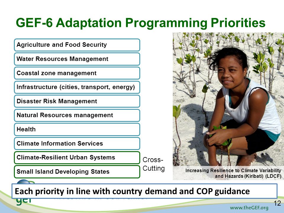 GEF-6 Adaptation Programming Priorities Each priority in line with country demand and COP guidance Agriculture and Food SecurityWater Resources ManagementCoastal zone managementInfrastructure (cities, transport, energy)Disaster Risk ManagementNatural Resources managementHealthClimate Information ServicesClimate-Resilient Urban SystemsSmall Island Developing States Increasing Resilience to Climate Variability and Hazards (Kiribati) (LDCF) Cross- Cutting 12