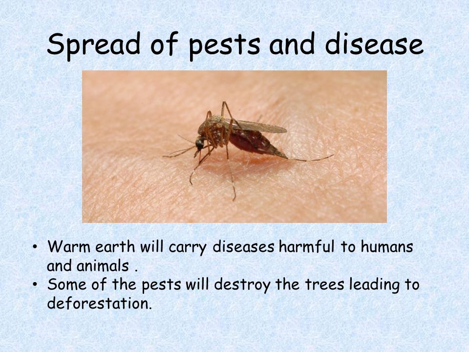 Spread of pests and disease Warm earth will carry diseases harmful to humans and animals.
