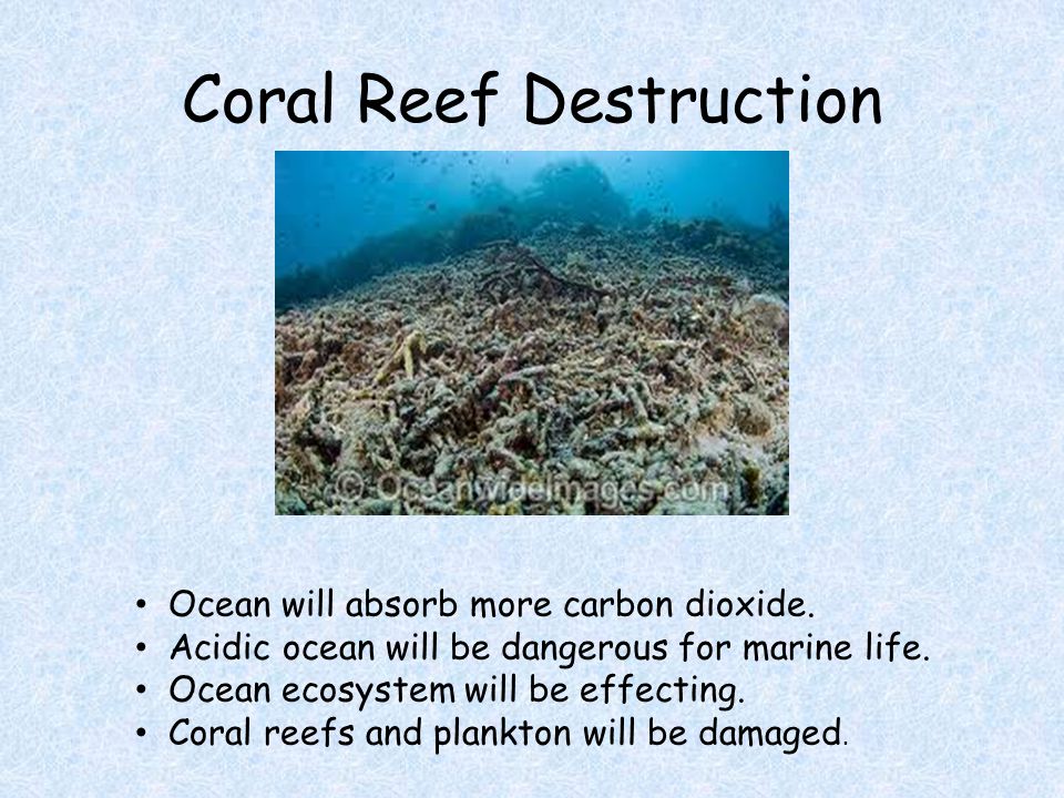 Coral Reef Destruction Ocean will absorb more carbon dioxide.