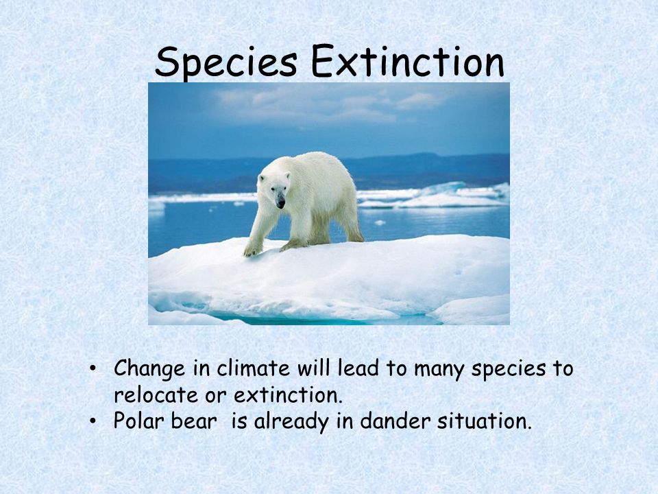 Species Extinction Change in climate will lead to many species to relocate or extinction.