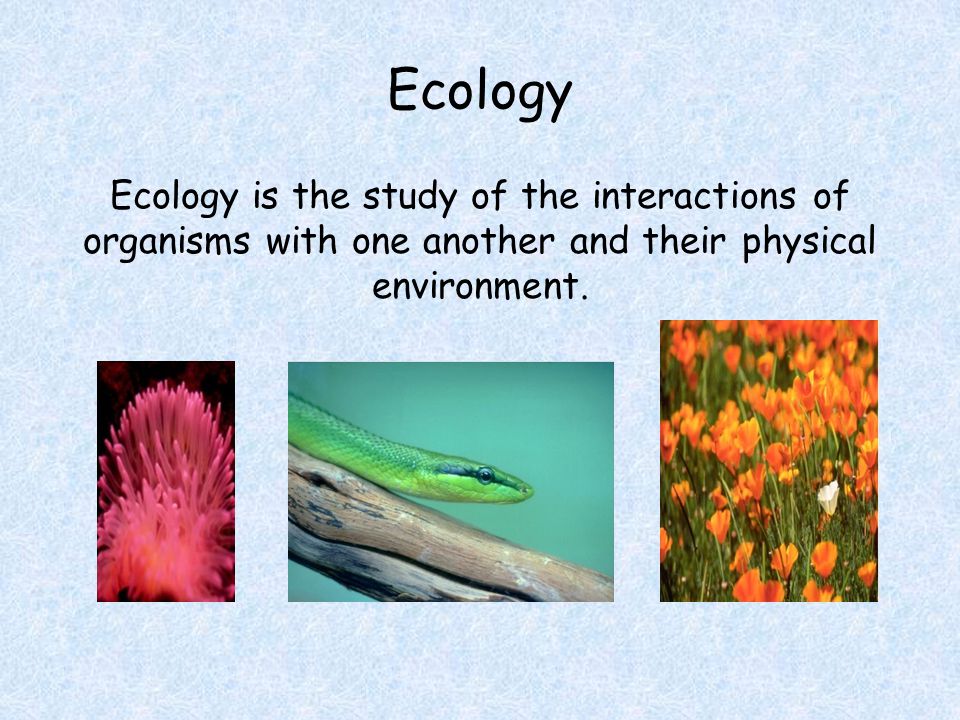 Ecology Ecology is the study of the interactions of organisms with one another and their physical environment.