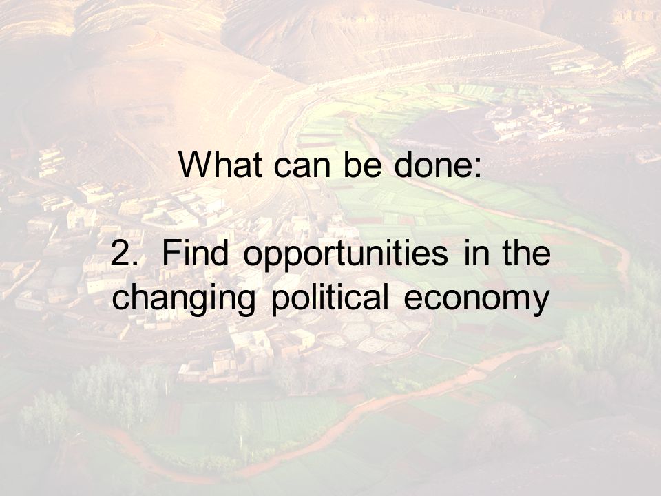 What can be done: 2. Find opportunities in the changing political economy