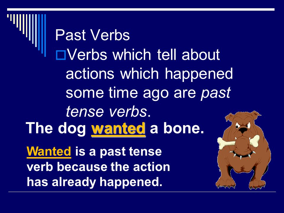 Write a sentence using a verb in the present tense.