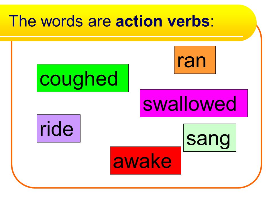 What is an action verb. A verb is one of the most important parts of the sentence.
