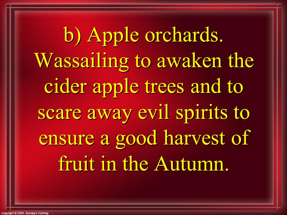 b) Apple orchards.