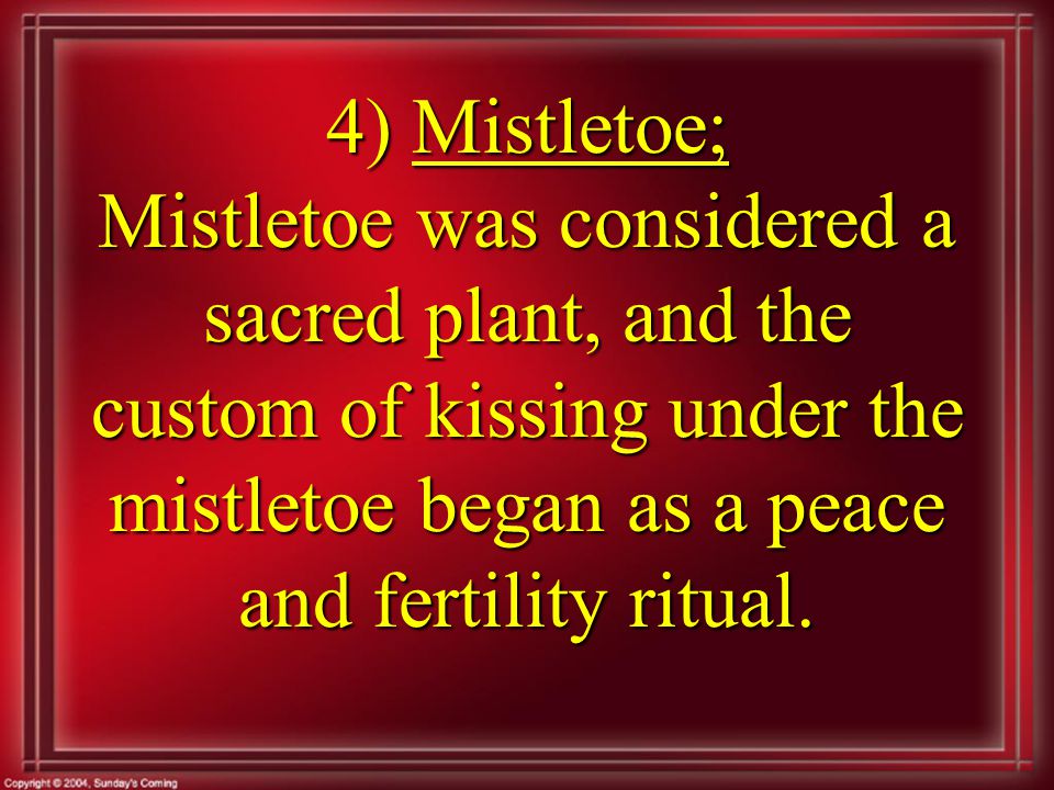 4) Mistletoe; Mistletoe was considered a sacred plant, and the custom of kissing under the mistletoe began as a peace and fertility ritual.
