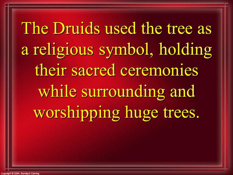 The Druids used the tree as a religious symbol, holding their sacred ceremonies while surrounding and worshipping huge trees.