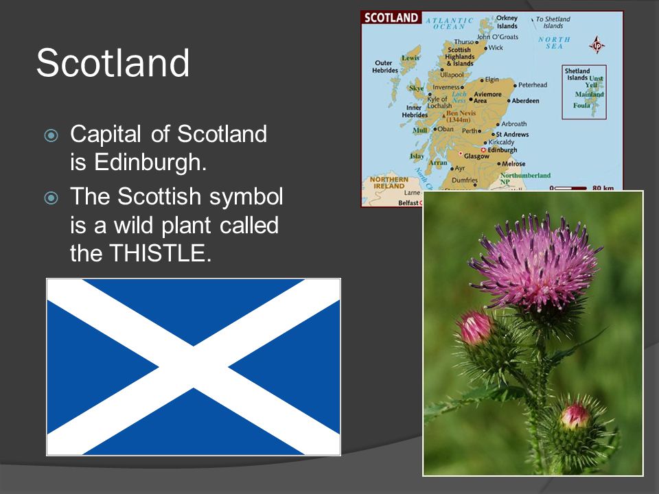 Природные перевод на английский. Scotland презентация. Шотландия проект по английскому. Проект Шотландия. Шотландия для детей презентация.