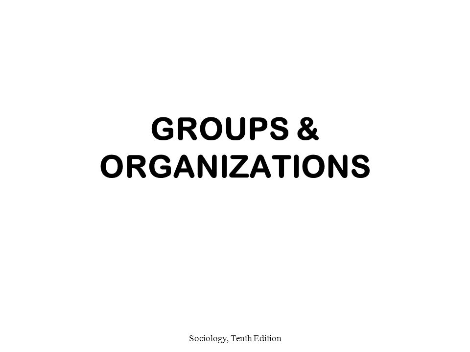 define social organization in sociology