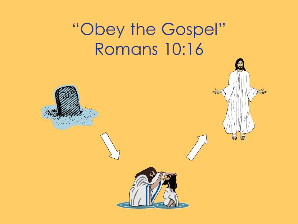 Obey the Gospel Romans 10:16