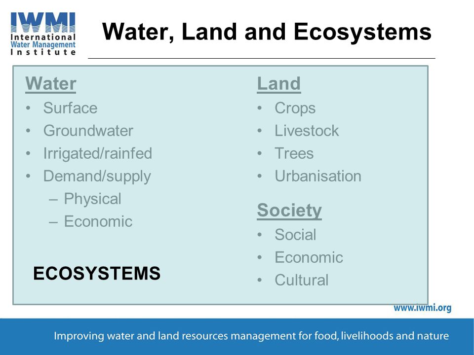 Water, Land and Ecosystems Water Surface Groundwater Irrigated/rainfed Demand/supply –Physical –Economic Society Social Economic Cultural Land Crops Livestock Trees Urbanisation ECOSYSTEMS