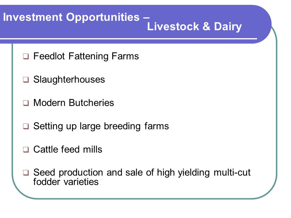 Investment Opportunities – Livestock & Dairy  Feedlot Fattening Farms  Slaughterhouses  Modern Butcheries  Setting up large breeding farms  Cattle feed mills  Seed production and sale of high yielding multi-cut fodder varieties