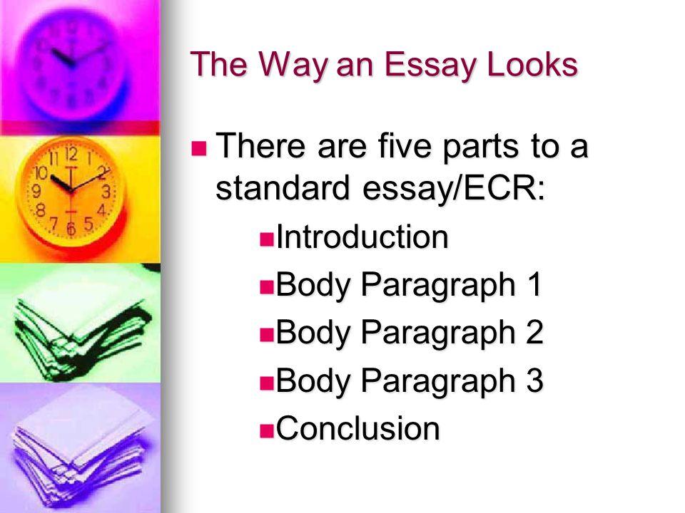 The Way an Essay Looks There are five parts to a standard essay/ECR: There are five parts to a standard essay/ECR: Introduction Introduction Body Paragraph 1 Body Paragraph 1 Body Paragraph 2 Body Paragraph 2 Body Paragraph 3 Body Paragraph 3 Conclusion Conclusion
