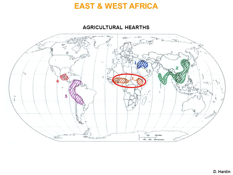 AGRICULTURAL HEARTHS D. Hardin EAST & WEST AFRICA